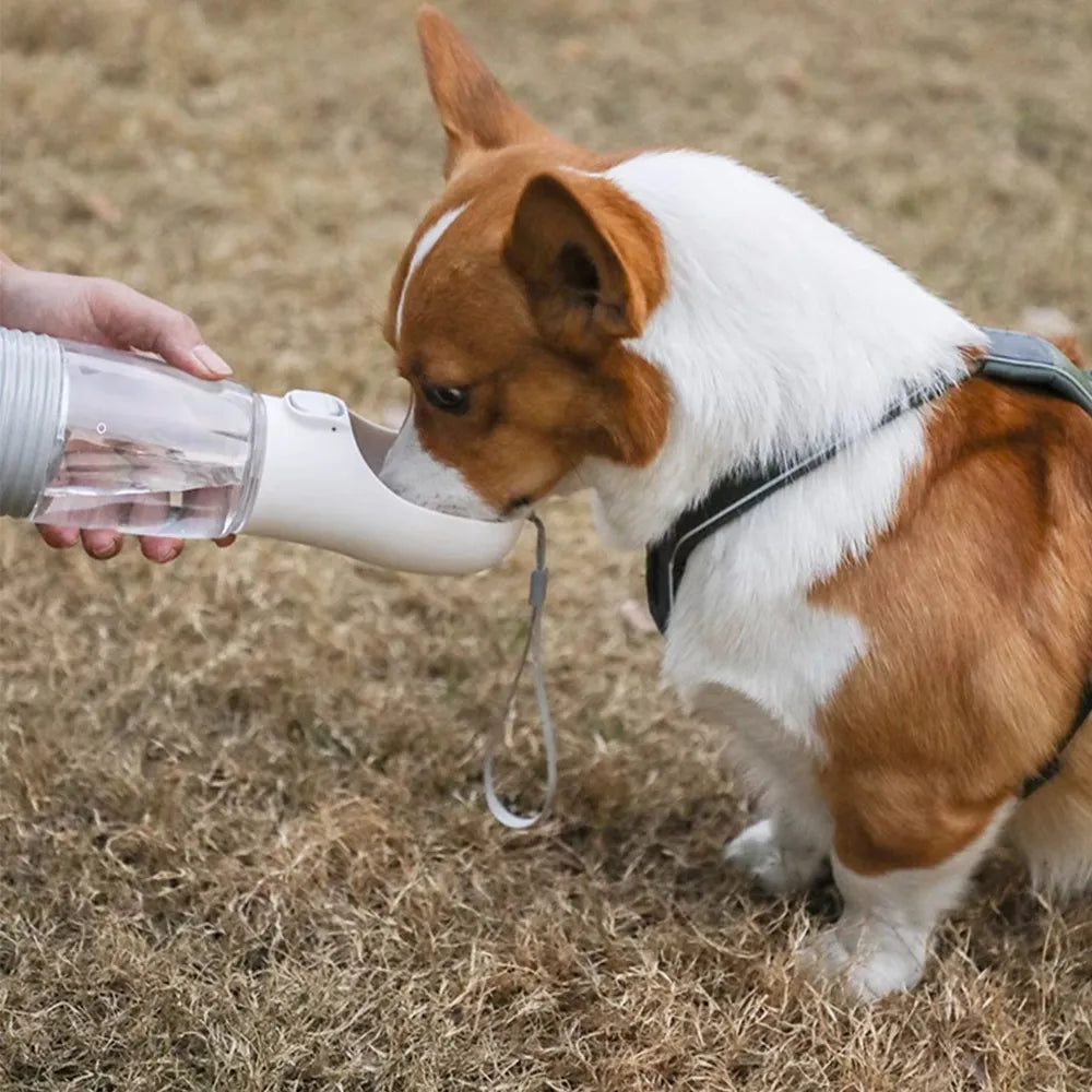 Portable Dog Water Bottle