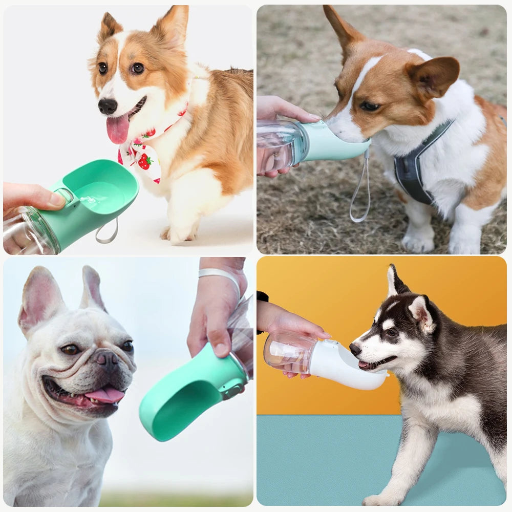 Portable Dog Water Bottle