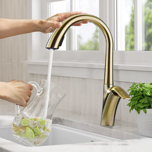 Adriana pull-out dual function Pull Out Kitchen Tap